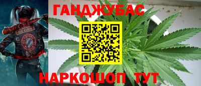 мяу мяу кристалл Малоярославец